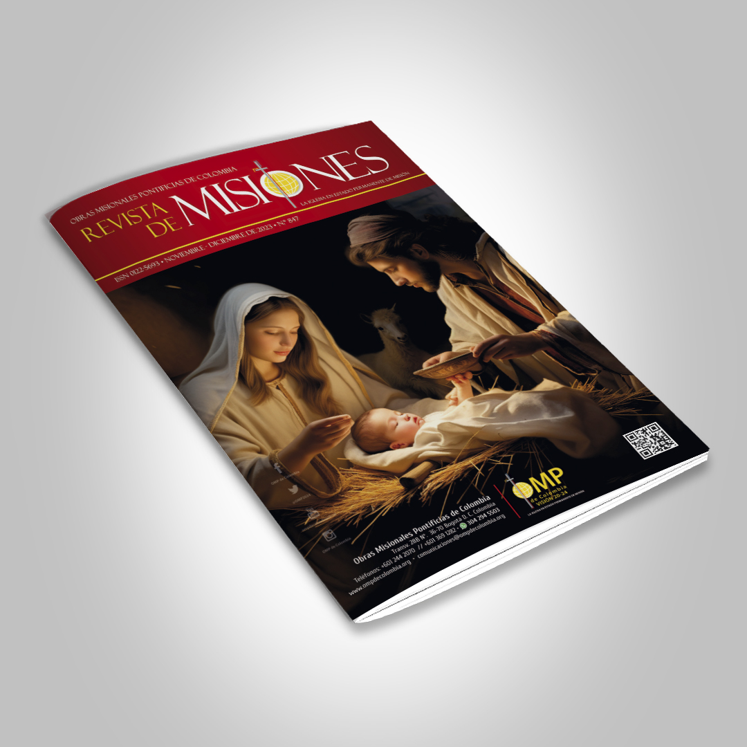 Revista Misiones 847